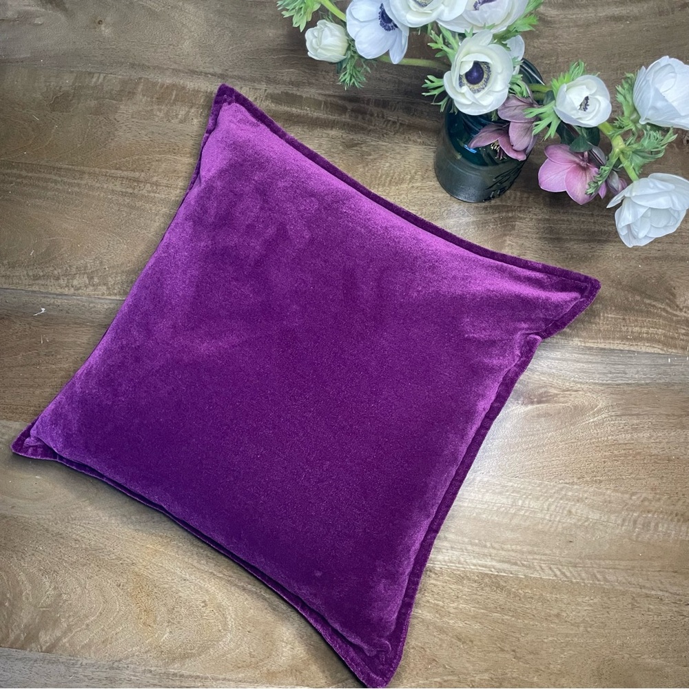 Crate & Barrel Velvet Pillow